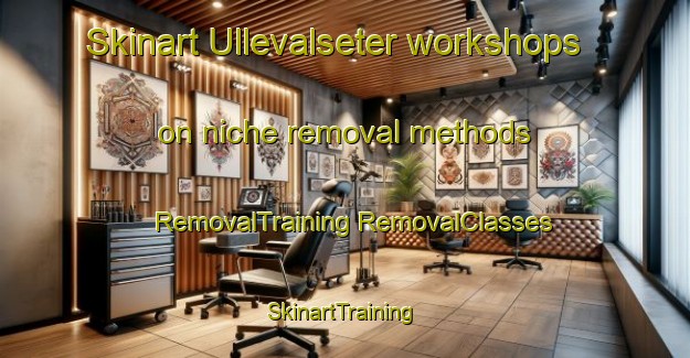 Skinart Ullevalseter workshops on niche removal methods | #RemovalTraining #RemovalClasses #SkinartTraining-Norway