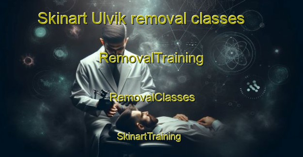Skinart Ulvik removal classes | RemovalTraining | RemovalClasses | SkinartTraining-Norway