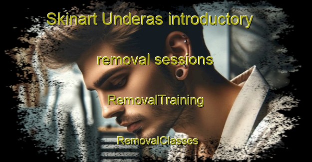 Skinart Underas introductory removal sessions | RemovalTraining | RemovalClasses | SkinartTraining-Norway