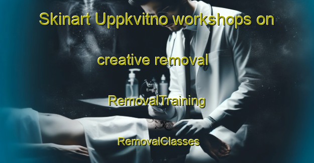 Skinart Uppkvitno workshops on creative removal | RemovalTraining | RemovalClasses | SkinartTraining-Norway