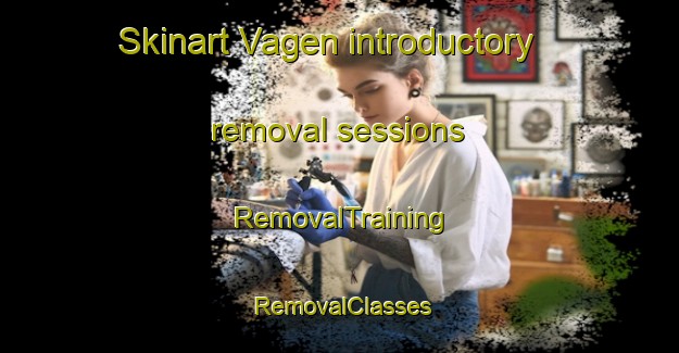Skinart Vagen introductory removal sessions | RemovalTraining | RemovalClasses | SkinartTraining-Norway