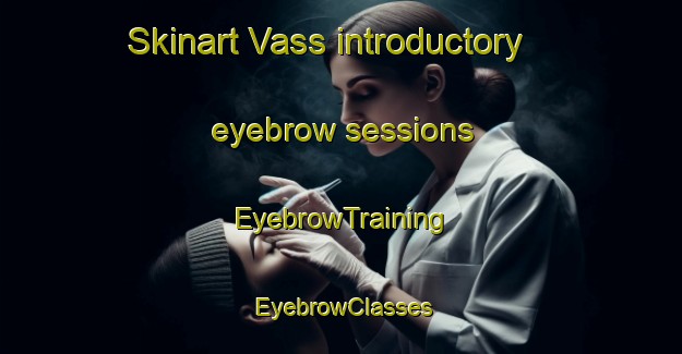 Skinart Vass introductory eyebrow sessions | EyebrowTraining | EyebrowClasses | SkinartTraining-Norway