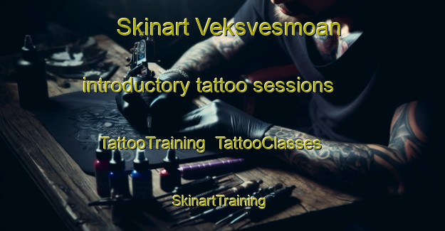 Skinart Veksvesmoan introductory tattoo sessions | TattooTraining | TattooClasses | SkinartTraining-Norway