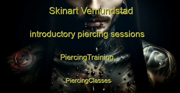 Skinart Vemundstad introductory piercing sessions | PiercingTraining | PiercingClasses | SkinartTraining-Norway