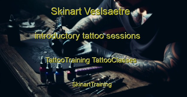 Skinart Veslsaetre introductory tattoo sessions | #TattooTraining #TattooClasses #SkinartTraining-Norway