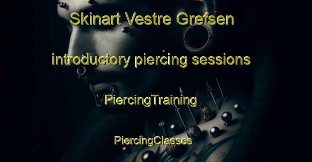 Skinart Vestre Grefsen introductory piercing sessions | PiercingTraining | PiercingClasses | SkinartTraining-Norway