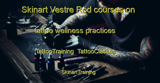 Skinart Vestre Rod courses on tattoo wellness practices | TattooTraining | TattooClasses | SkinartTraining-Norway