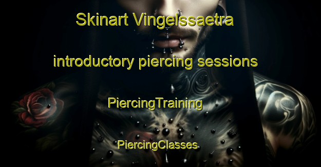Skinart Vingelssaetra introductory piercing sessions | PiercingTraining | PiercingClasses | SkinartTraining-Norway