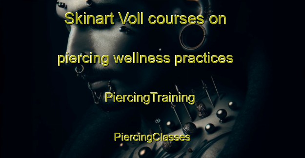 Skinart Voll courses on piercing wellness practices | #PiercingTraining #PiercingClasses #SkinartTraining-Norway