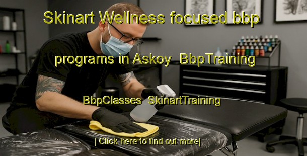 Skinart Wellness-focused bbp programs in Askoy | BbpTraining | BbpClasses | SkinartTraining-Norway