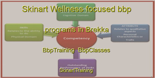 Skinart Wellness-focused bbp programs in Brekka | BbpTraining | BbpClasses | SkinartTraining-Norway