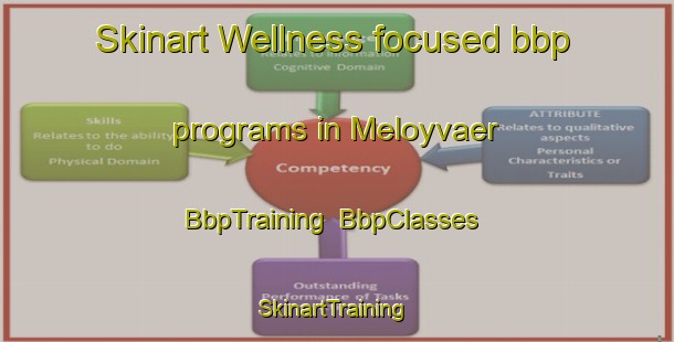 Skinart Wellness-focused bbp programs in Meloyvaer | BbpTraining | BbpClasses | SkinartTraining-Norway