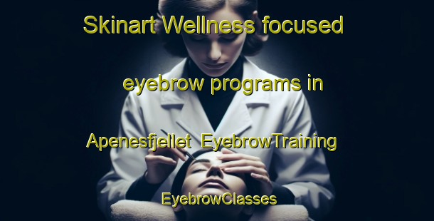 Skinart Wellness-focused eyebrow programs in Apenesfjellet | EyebrowTraining | EyebrowClasses | SkinartTraining-Norway
