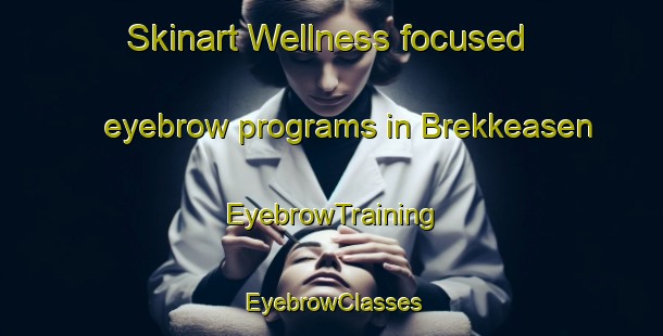 Skinart Wellness-focused eyebrow programs in Brekkeasen | EyebrowTraining | EyebrowClasses | SkinartTraining-Norway