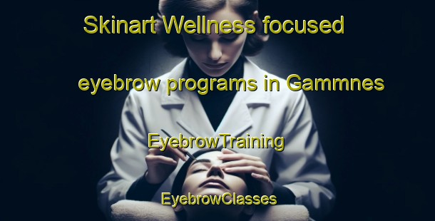 Skinart Wellness-focused eyebrow programs in Gammnes | EyebrowTraining | EyebrowClasses | SkinartTraining-Norway