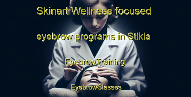 Skinart Wellness-focused eyebrow programs in Stikla | EyebrowTraining | EyebrowClasses | SkinartTraining-Norway