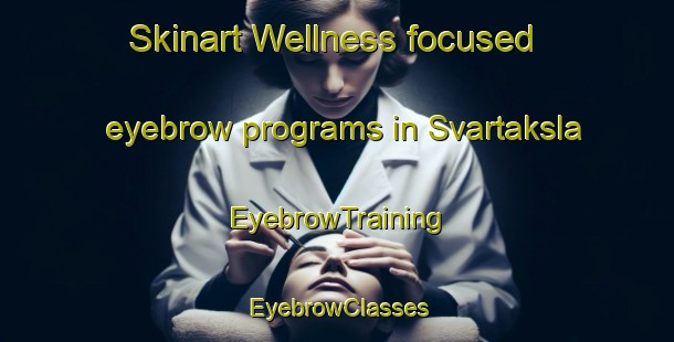 Skinart Wellness-focused eyebrow programs in Svartaksla | EyebrowTraining | EyebrowClasses | SkinartTraining-Norway