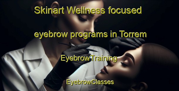 Skinart Wellness-focused eyebrow programs in Torrem | EyebrowTraining | EyebrowClasses | SkinartTraining-Norway