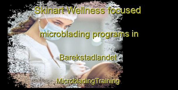 Skinart Wellness-focused microblading programs in Barekstadlandet | #MicrobladingTraining #MicrobladingClasses #SkinartTraining-Norway