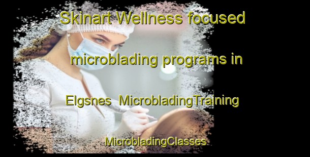 Skinart Wellness-focused microblading programs in Elgsnes | #MicrobladingTraining #MicrobladingClasses #SkinartTraining-Norway