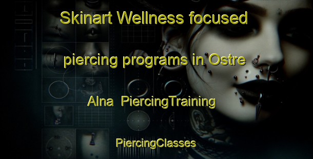 Skinart Wellness-focused piercing programs in Ostre Alna | #PiercingTraining #PiercingClasses #SkinartTraining-Norway