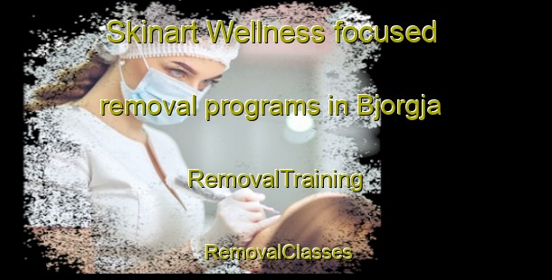 Skinart Wellness-focused removal programs in Bjorgja | RemovalTraining | RemovalClasses | SkinartTraining-Norway