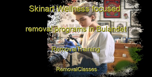 Skinart Wellness-focused removal programs in Bulandet | RemovalTraining | RemovalClasses | SkinartTraining-Norway