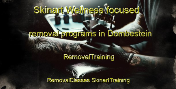 Skinart Wellness-focused removal programs in Dombestein | #RemovalTraining #RemovalClasses #SkinartTraining-Norway