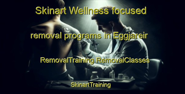 Skinart Wellness-focused removal programs in Eggjareir | #RemovalTraining #RemovalClasses #SkinartTraining-Norway