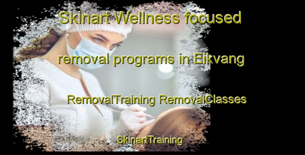 Skinart Wellness-focused removal programs in Eikvang | #RemovalTraining #RemovalClasses #SkinartTraining-Norway