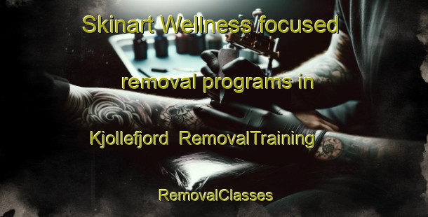 Skinart Wellness-focused removal programs in Kjollefjord | RemovalTraining | RemovalClasses | SkinartTraining-Norway