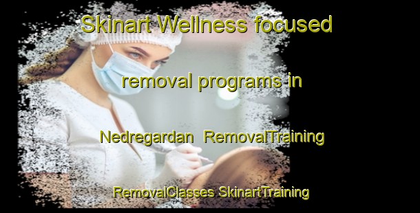 Skinart Wellness-focused removal programs in Nedregardan | #RemovalTraining #RemovalClasses #SkinartTraining-Norway