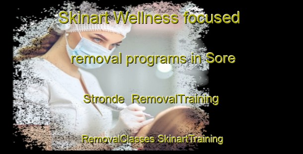 Skinart Wellness-focused removal programs in Sore Stronde | #RemovalTraining #RemovalClasses #SkinartTraining-Norway