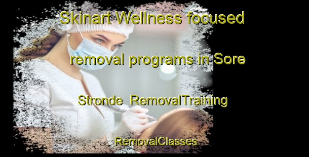 Skinart Wellness-focused removal programs in Sore Stronde | RemovalTraining | RemovalClasses | SkinartTraining-Norway