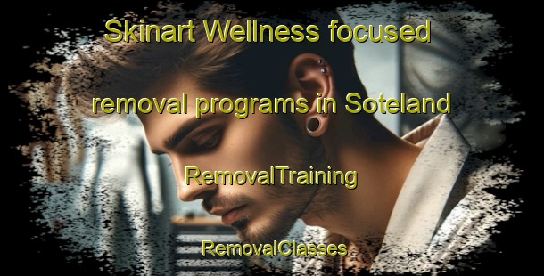 Skinart Wellness-focused removal programs in Soteland | RemovalTraining | RemovalClasses | SkinartTraining-Norway