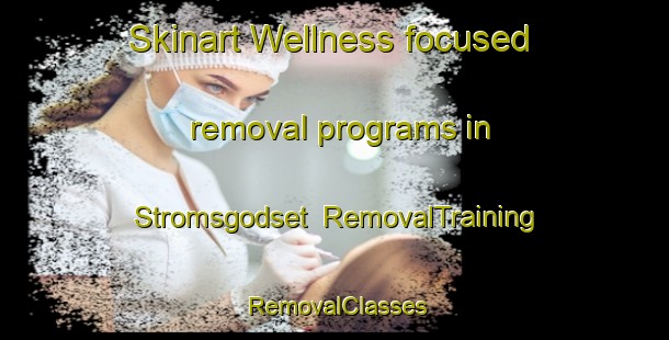 Skinart Wellness-focused removal programs in Stromsgodset | RemovalTraining | RemovalClasses | SkinartTraining-Norway
