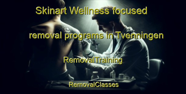 Skinart Wellness-focused removal programs in Tvenningen | RemovalTraining | RemovalClasses | SkinartTraining-Norway