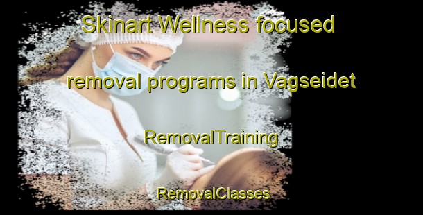 Skinart Wellness-focused removal programs in Vagseidet | RemovalTraining | RemovalClasses | SkinartTraining-Norway