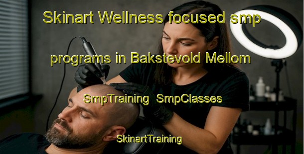 Skinart Wellness-focused smp programs in Bakstevold Mellom | SmpTraining | SmpClasses | SkinartTraining-Norway