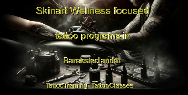 Skinart Wellness-focused tattoo programs in Barekstadlandet | TattooTraining | TattooClasses | SkinartTraining-Norway