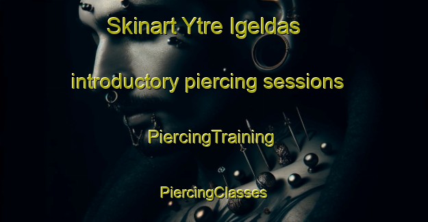 Skinart Ytre Igeldas introductory piercing sessions | #PiercingTraining #PiercingClasses #SkinartTraining-Norway