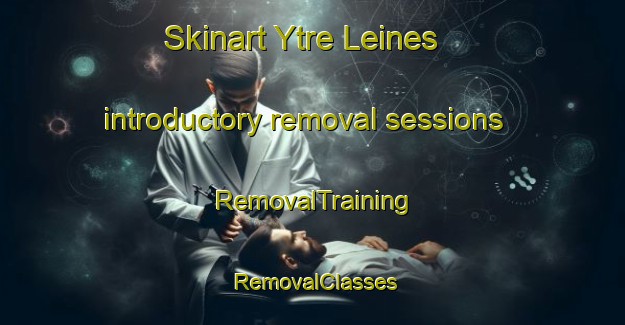 Skinart Ytre Leines introductory removal sessions | RemovalTraining | RemovalClasses | SkinartTraining-Norway